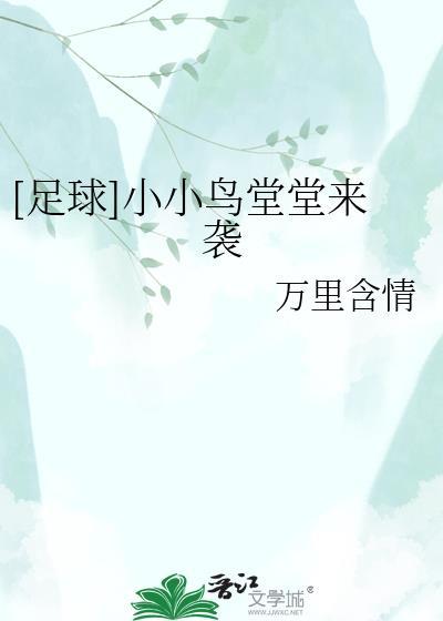 小小鸟街头艺人现场视频