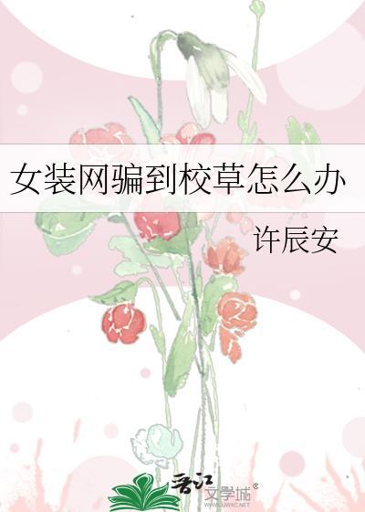 女装网骗到校草怎么办by许辰安