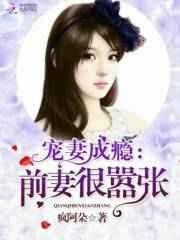 章节前妻