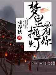 梦里挑灯看剑作品歌词