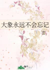 大象永远不会忘记英语