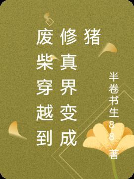 穿越修仙废柴