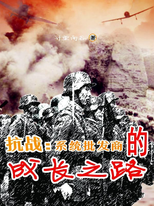 抗日淘宝系统