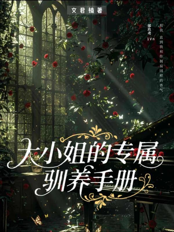 大小姐升级
