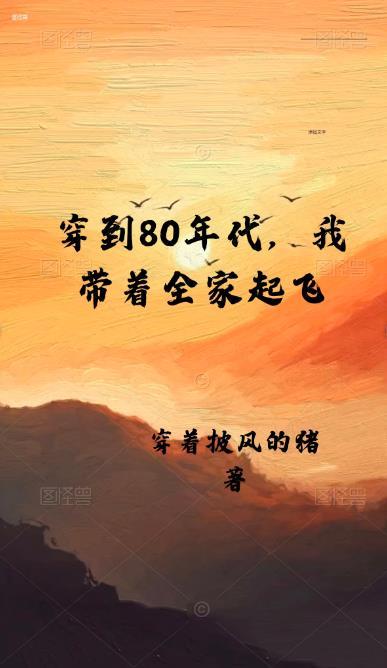 穿到八零年代做外贸免费