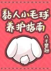 黏人小毛球养护指南全文