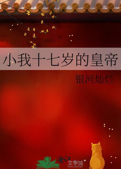 小我17岁那年的