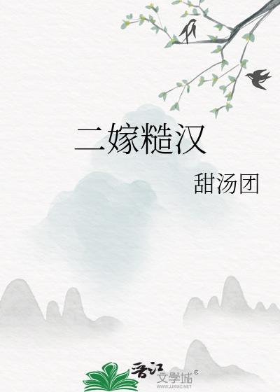 二嫁糙汉讲的什么