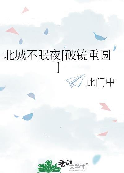北城不眠夜赵宗泽txt