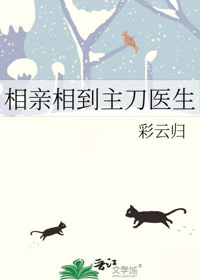 相亲相到主刀医生免费阅读