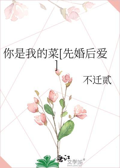 你是我的菜先婚后爱百度