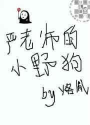 严老师真实身份揭秘