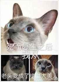 死而复生之后我从老头变成了绝世大美人百度