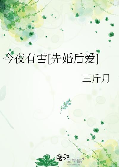 今夜有雪全文无删减