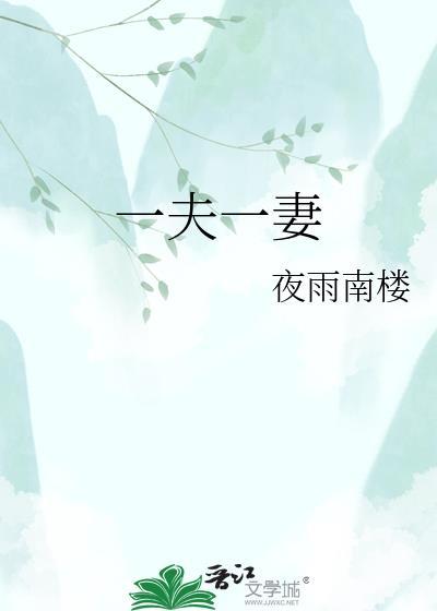 一夫一妻制