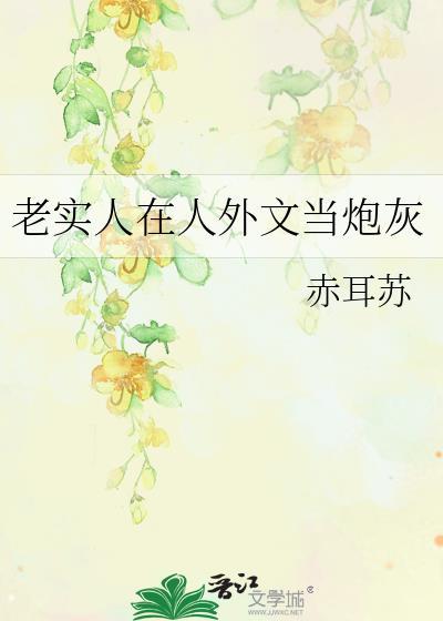 老实人外传