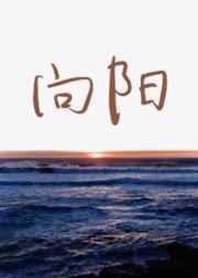 向阳之处必有声日剧