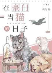 在豪门当猫的日子最新章节