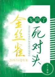 菟丝花讲的什么