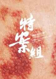 特殊案件调查组VIby易容术九TXT