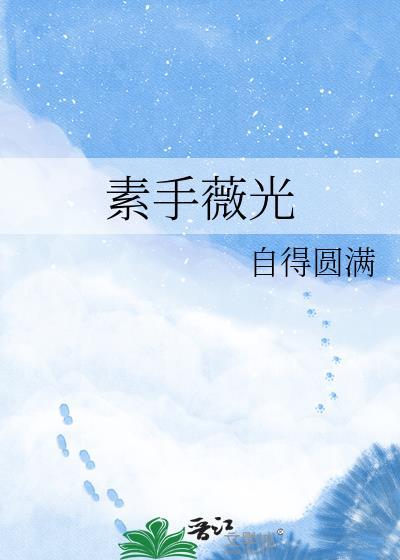 素手光阴全文阅读