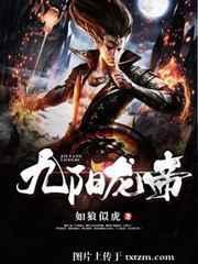 九阳龙帝免费阅读