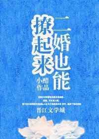 二婚也能撩起来 全文免费阅读