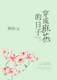 穿成班花的日子免费阅读