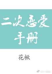 笫二次恋爱才完美