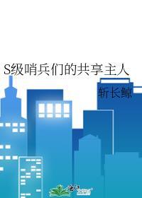 哨兵攻略