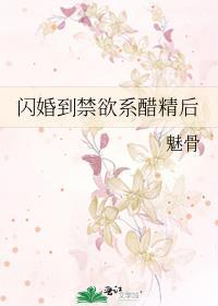 闪婚后禁欲男神夜夜宠我入骨免费阅读正版