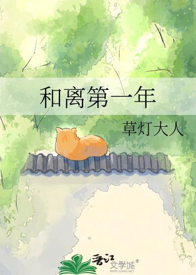 和离第一年讲的什么