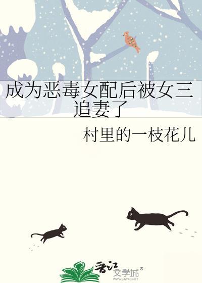 成为恶毒女配后被女三追妻了全文加番外