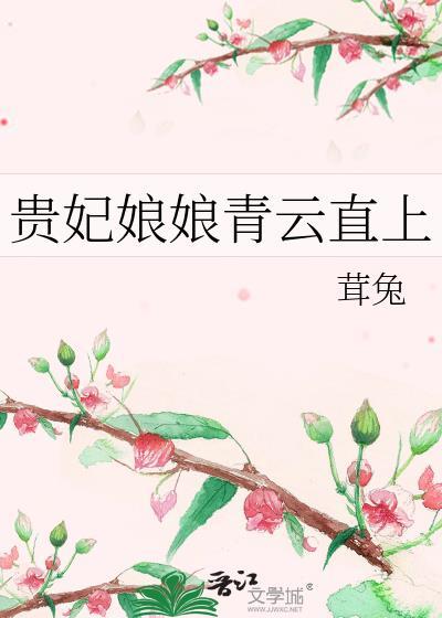 贵妃娘娘青云直上TXT完本