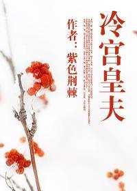 冷宫皇夫txt书包网