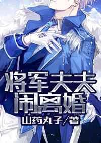 将军和夫人吵架