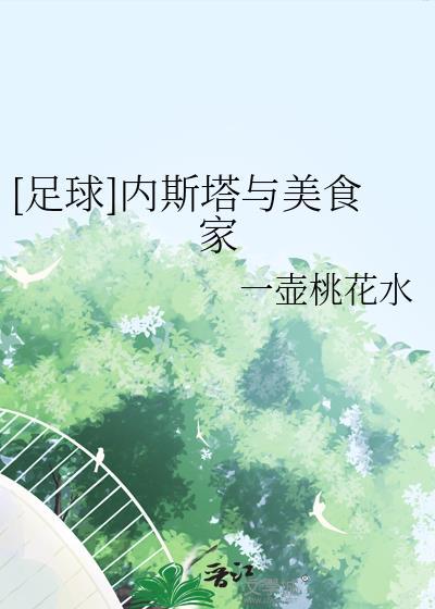 足球内斯塔与美食家百度