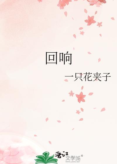 回响电视剧完整版免费观看