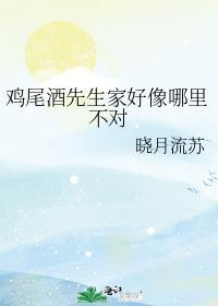 鸡尾酒先生家好像哪里不对百度