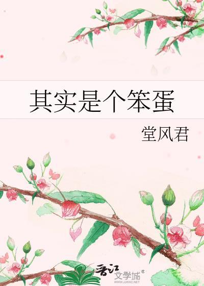 可以说是笨蛋