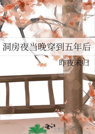 穿到洞房花烛夜之后格格党