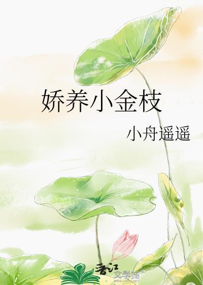 娇养小金枝by小舟遥遥txt