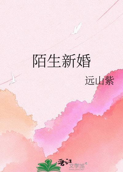 陌生新婚全文免费阅读
