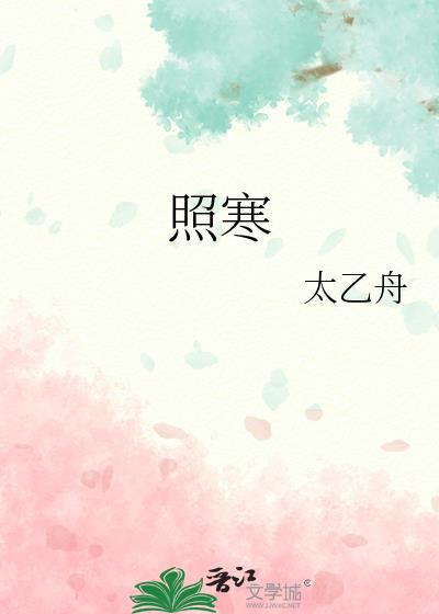 照寒太乙舟txt资源