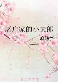 屠户家的小夫郎txt百度