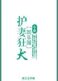 护妻狂魔印度免费完整版