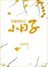 穿越种田之小日子 青羽墨安