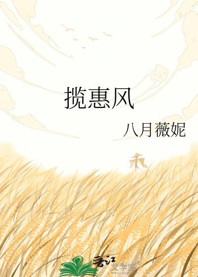 揽惠风讲的什么故事