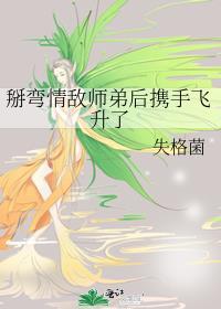 情敌掰弯攻略by