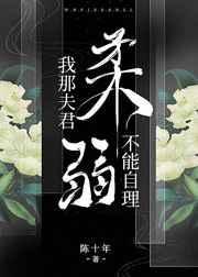 我那夫君柔弱不能自理怀雪
